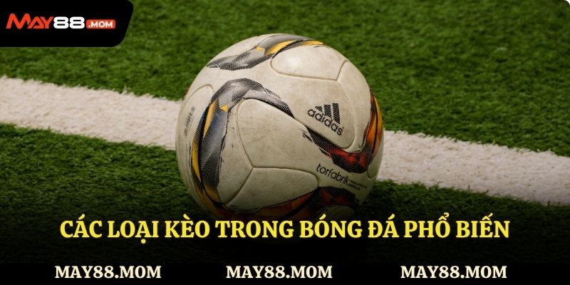 3 loại kèo trong bóng đá phổ biến
