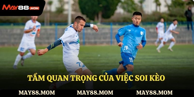 Vai trò của việc soi kèo chính xác