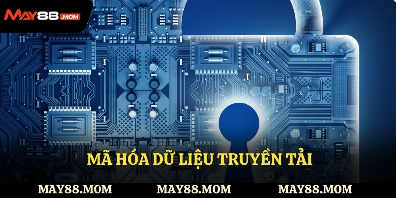 Mã hóa dữ liệu truyền tải