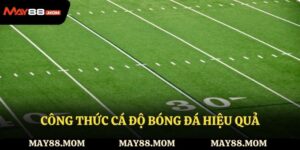 Công thức cá độ bóng đá hiệu quả tăng cơ hội chiến thắng May88