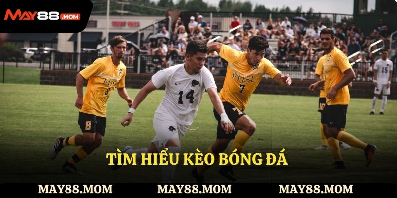 Tìm hiểu kèo bóng đá và cách thức hoạt động.