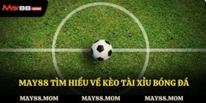 Cùng May88 tìm hiểu chi tiết về kèo tài xỉu bóng đá hot 2025