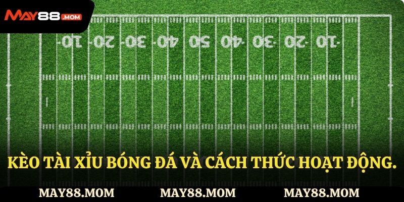 Kèo tài xỉu và cách hoạt động.