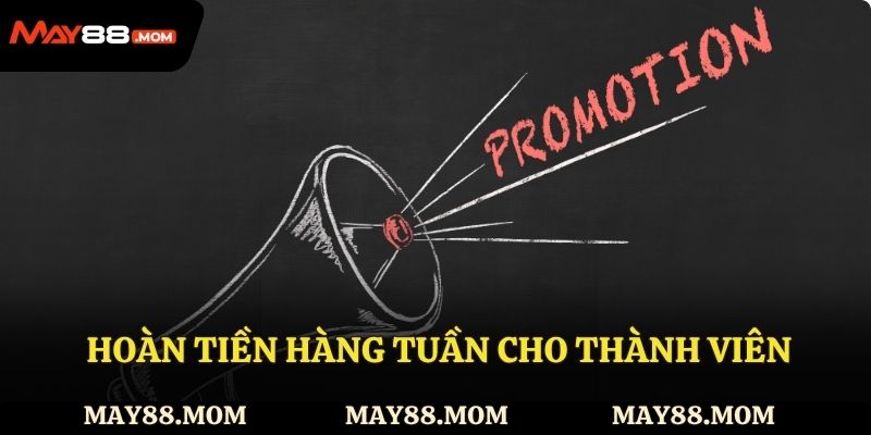  Hoàn tiền hàng tuần cho thành viên