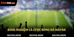 Kinh nghiệm cá cược bóng đá