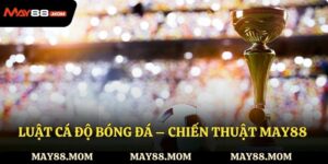 Luật cá độ bóng đá – Chiến thuật May88 cần biết khi tham gia