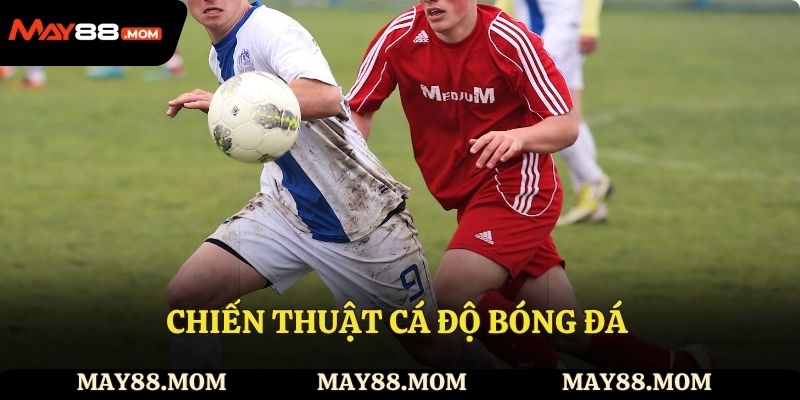 Chiến thuật cá độ bóng đá giúp bạn chiến thắng.
