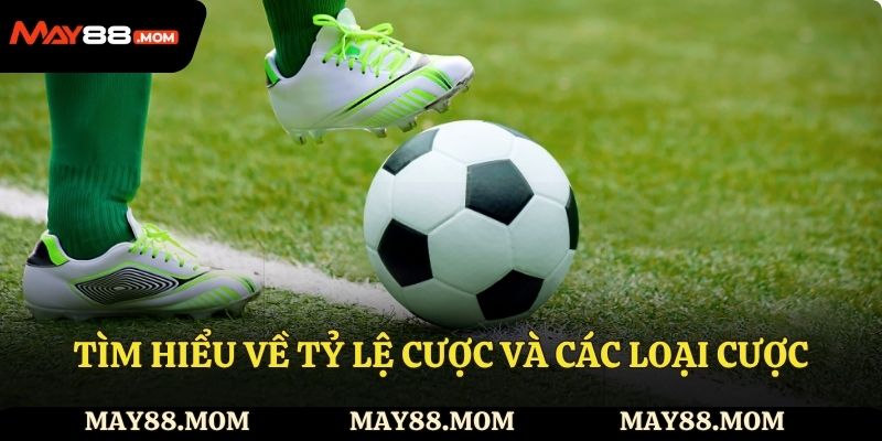 Tìm hiểu về tỷ lệ cược và các loại cược trong cá độ.